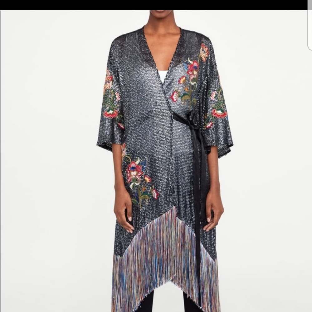 ISO M/L/XL Zara shiny embroidered fringe dress